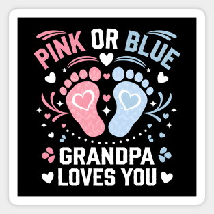 Pink or Blue Grandpa Loves You Gender Reveal Magnet